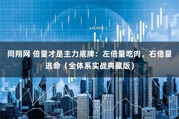 同翔网 倍量才是主力底牌：左倍量吃肉，右倍量逃命（全体系实战典藏版）
