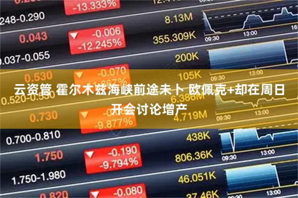 云资管 霍尔木兹海峡前途未卜 欧佩克+却在周日开会讨论增产